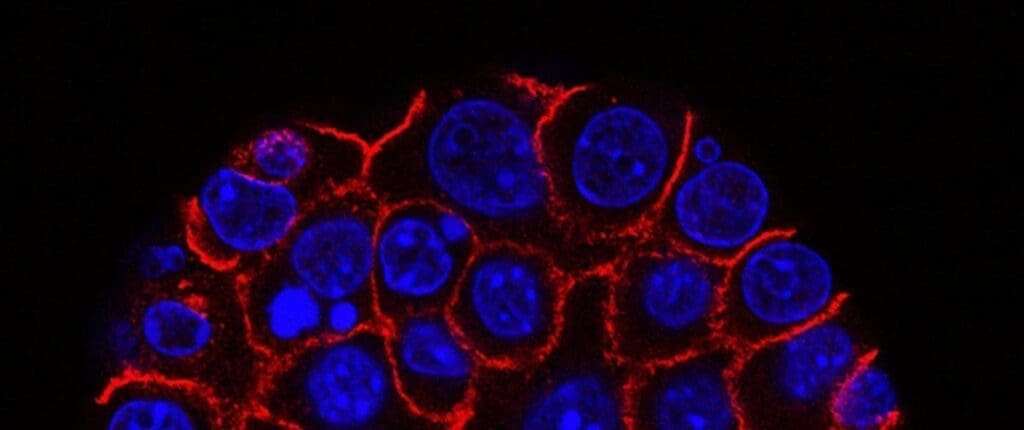 blue and black round illustration