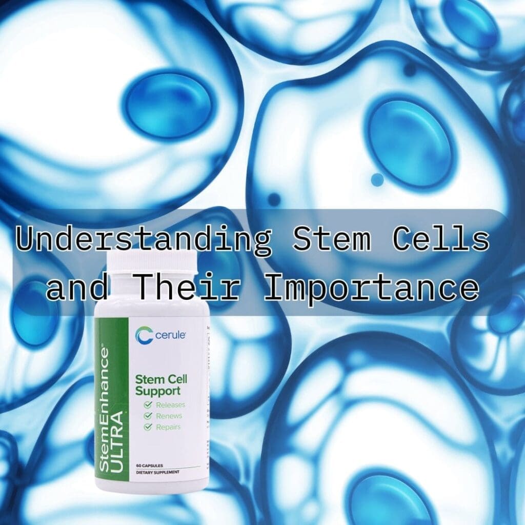Understanding Stem cells and their Importance
