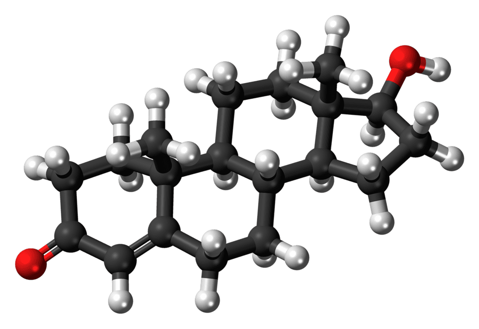 TESTOSTERONE MOLECULE