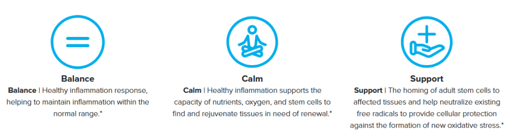 Balance Calm Support Cyactiv Anti Inflammatory