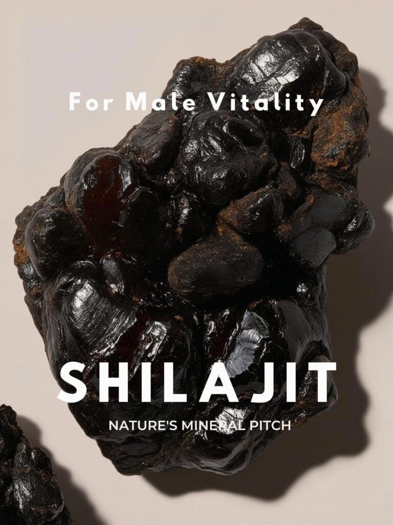 Shilajit – Nature’s Mineral Pitch for Male Vitality